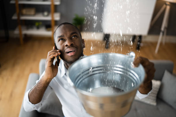 Best Residential water damage restoration  in Edgewater, FL
