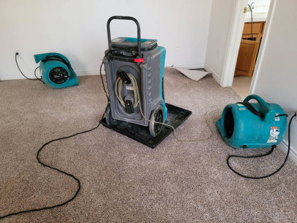 Best Flooded house restoration  in Edgewater, FL