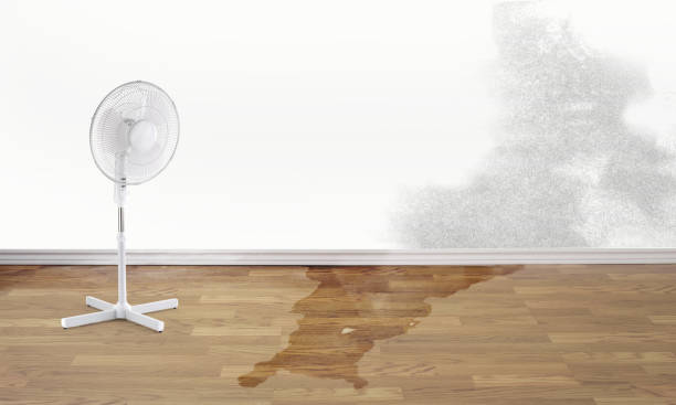 Best Water damage restoration near me  in Edgewater, FL