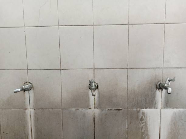 Best Commercial water damage restoration  in Edgewater, FL