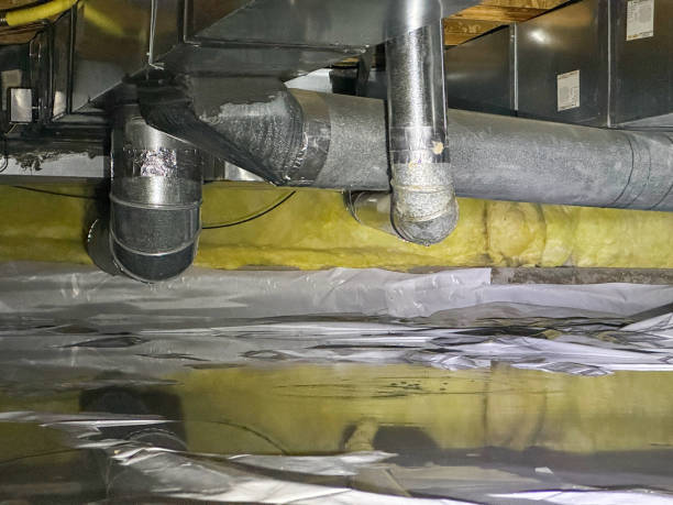 Best 24/7 water damage repair  in Edgewater, FL