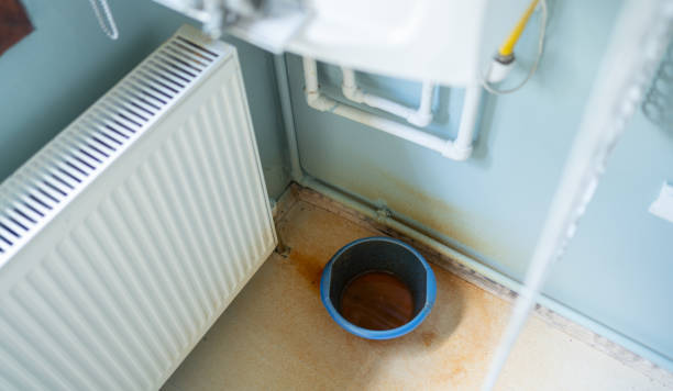 Best Professional water damage repair  in Edgewater, FL