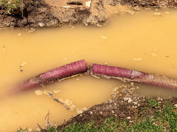 Best Water damage restoration insurance claims  in Edgewater, FL